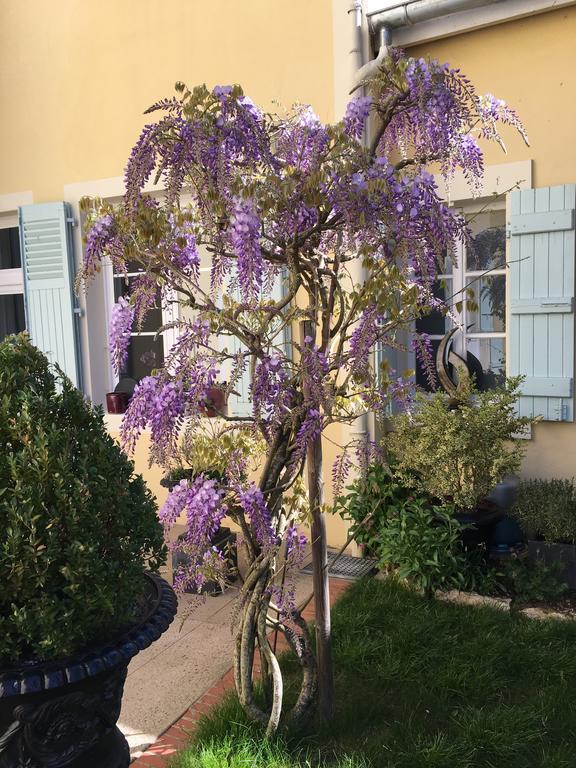Chambres D'Hote Le Clos De L'Argolay Charolles Dış mekan fotoğraf
